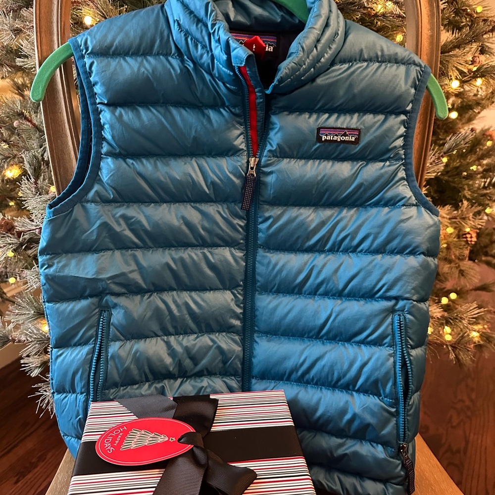 Patagonia Teal Puffer Jacket, Kids